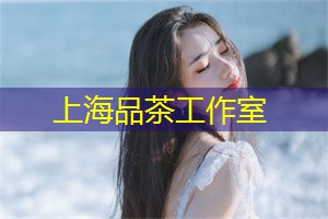 传世名画与文化底蕴的完美交汇！上海顶级公司让你接触艺术之美！