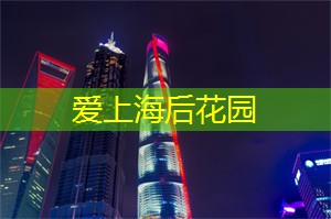从茶中感受上海的文化气息